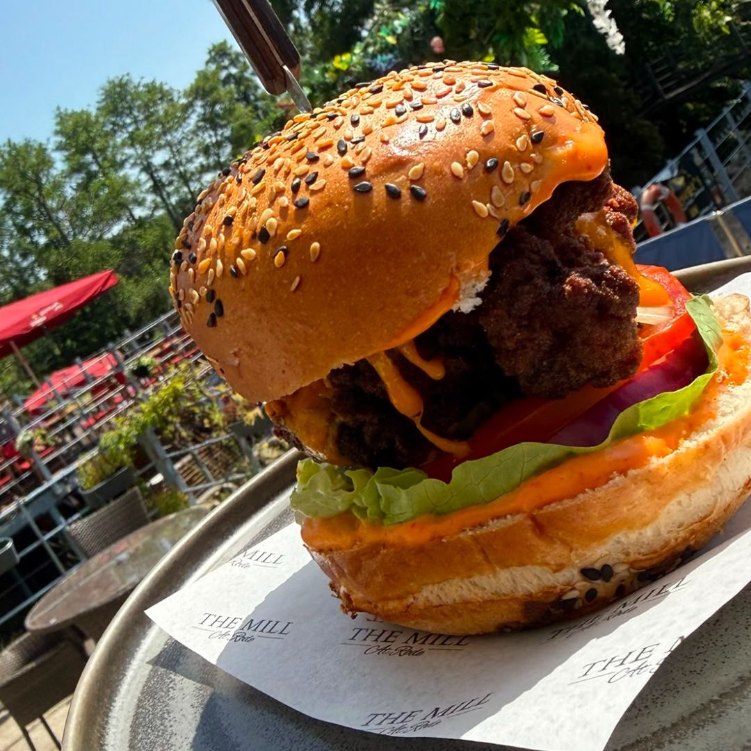 Burger from the Mill at Rode, Seeded Bun, Melted Cheese, Lettuce, Tomato and big beef patty