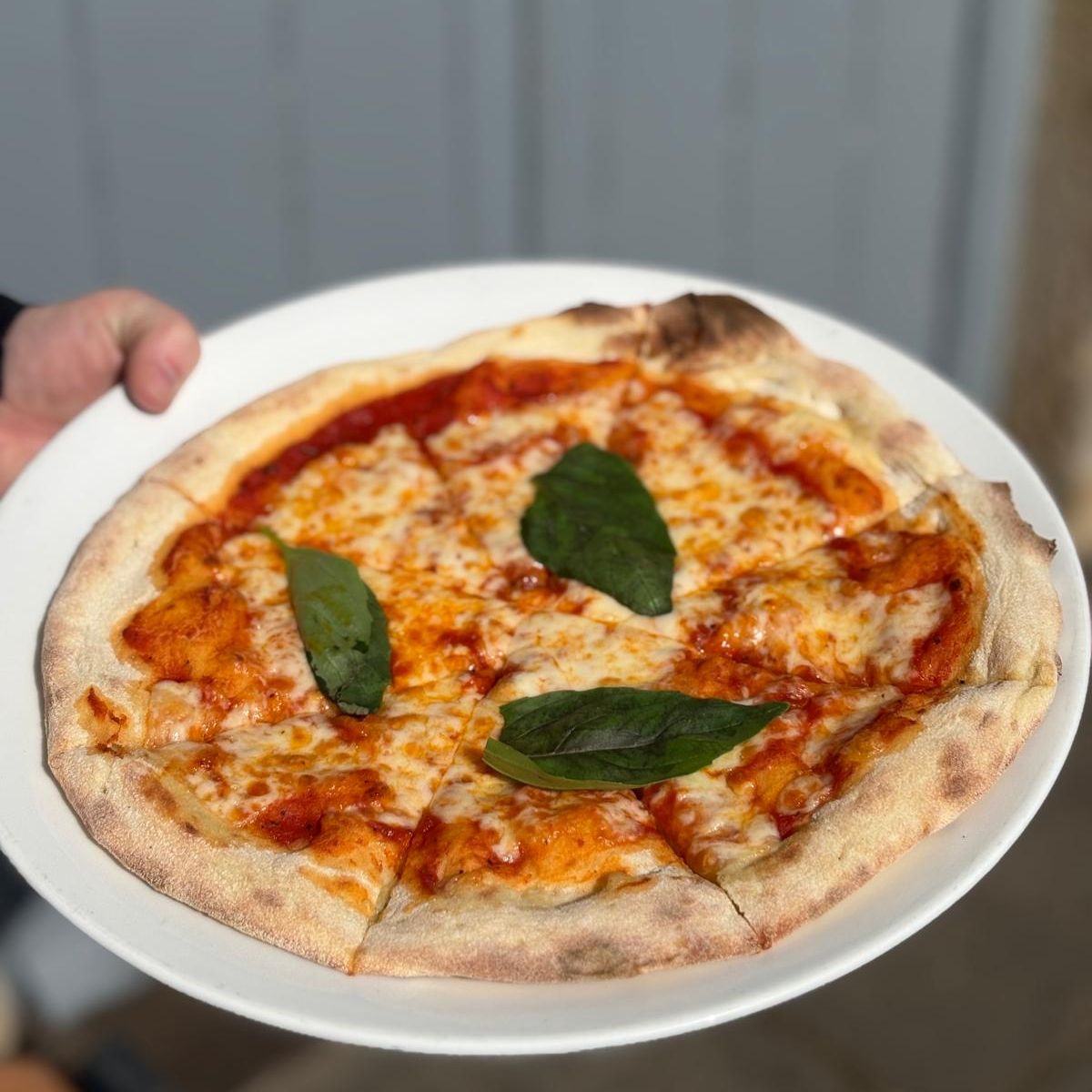 Margarita Pizza homemade with Basil